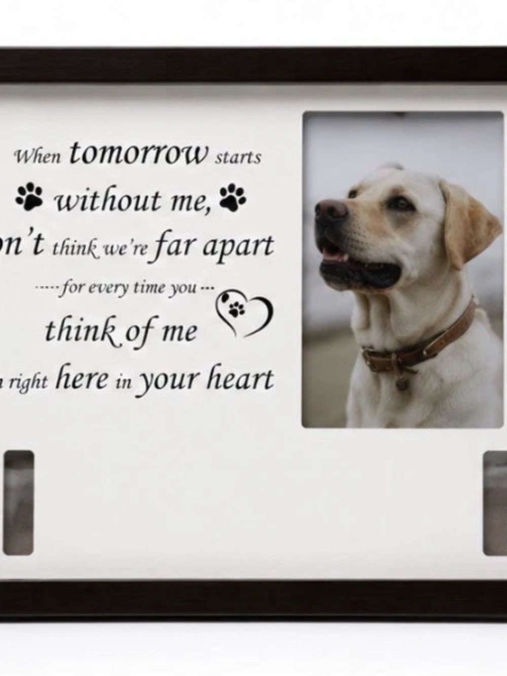 VENUS White and Brown Pet Memory Frame